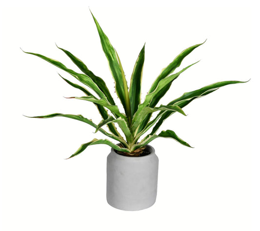 Vickerman 23" Artificial Potted Yucca Plant