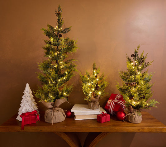 Home Reflections Set of 3 LED Decorative Trees
