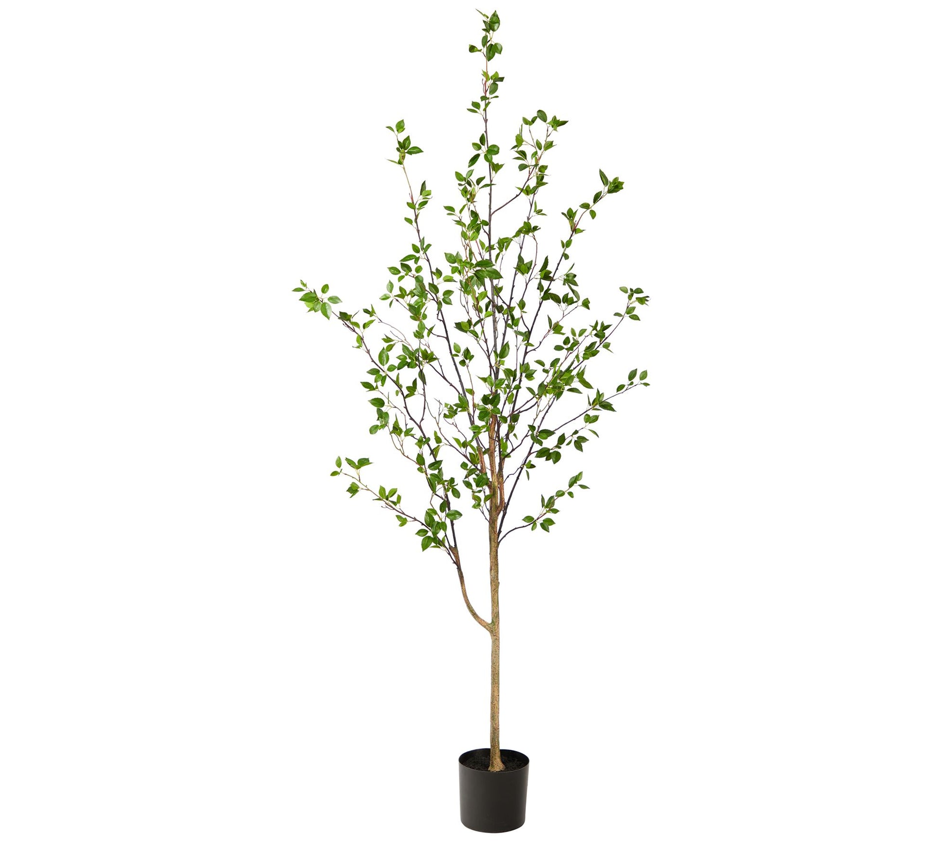 Nearly Natural 6.5' Minimalist Citrus Artificial Tree