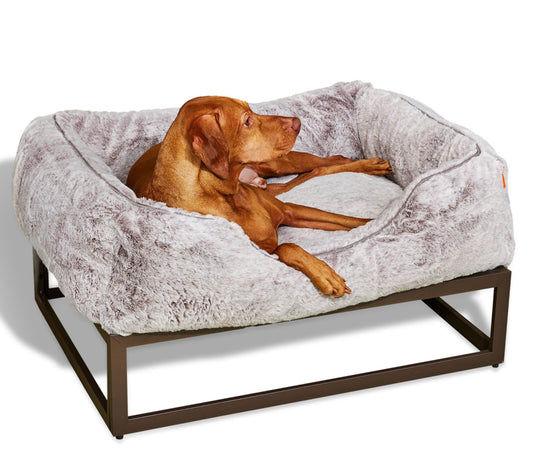 FUZI Pets Luxury Elevated Plus Dog Bed - Medium