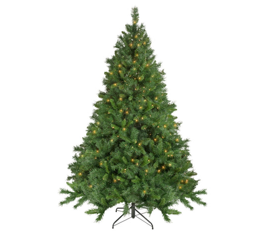 Northlight 6.5' Pre-Lit Chatham Pine Tree  Clear Lights