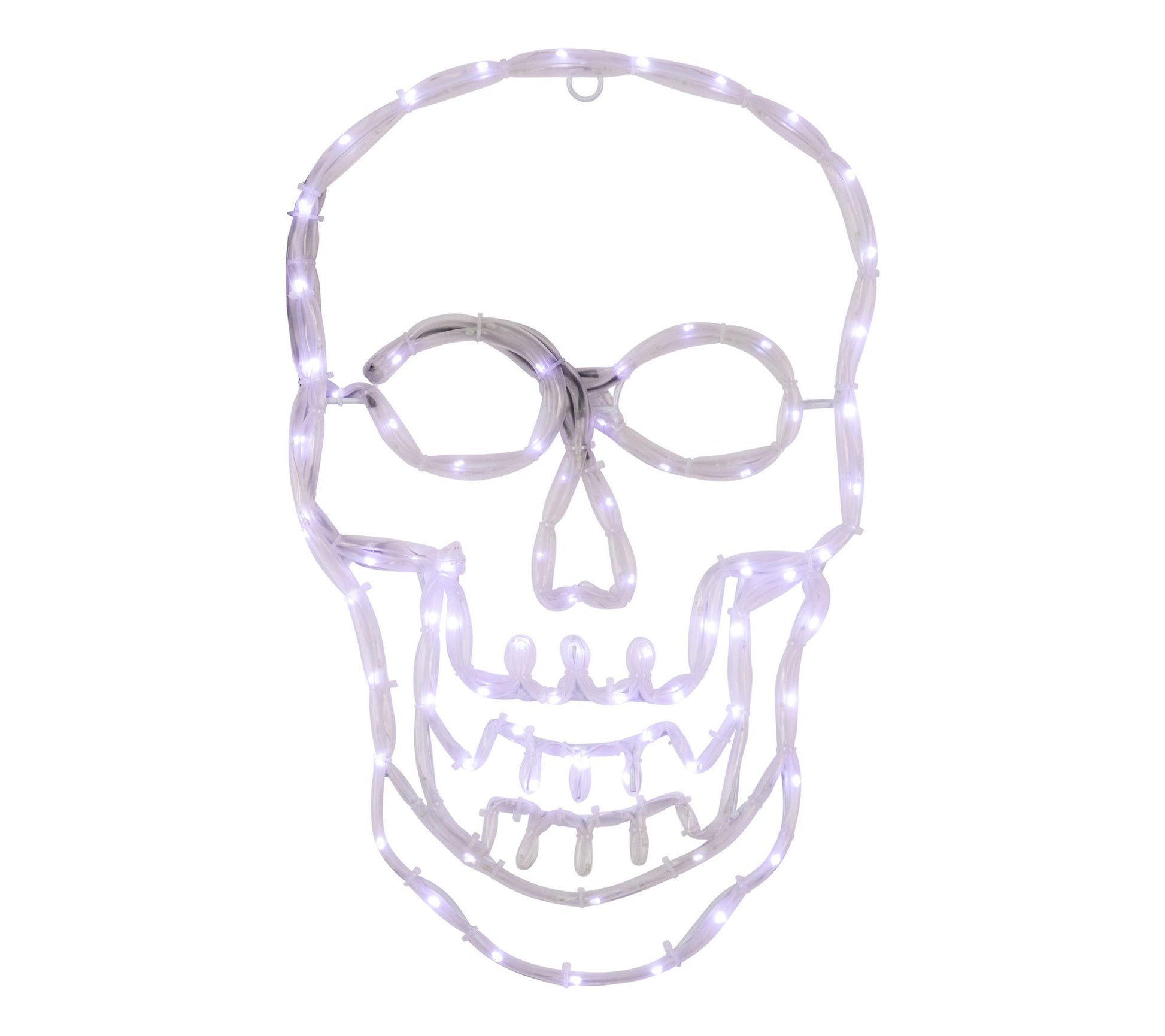 Northlight LED Skull Halloween Window Silhouette 18"
